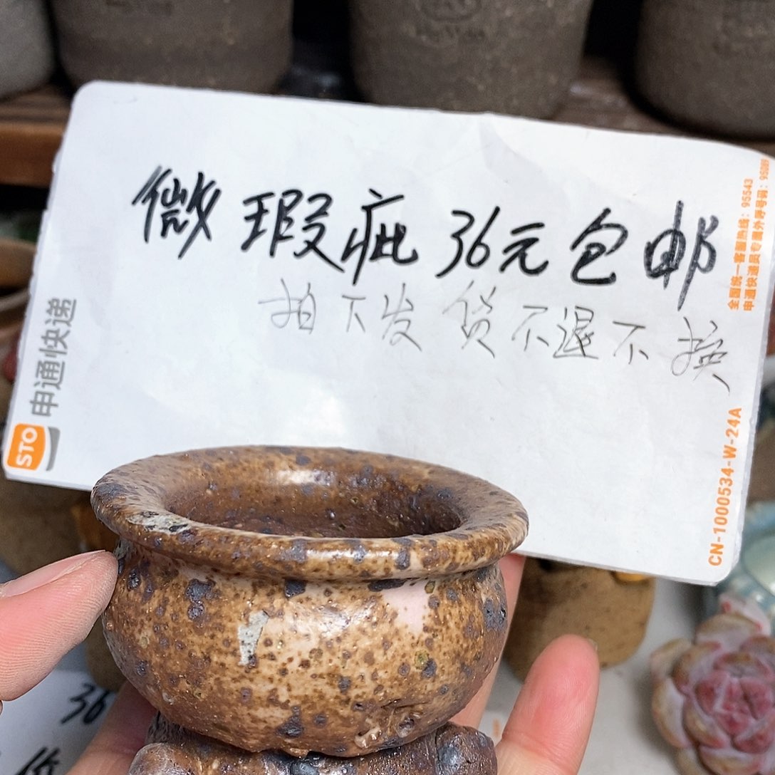 红陶拍5送一个小