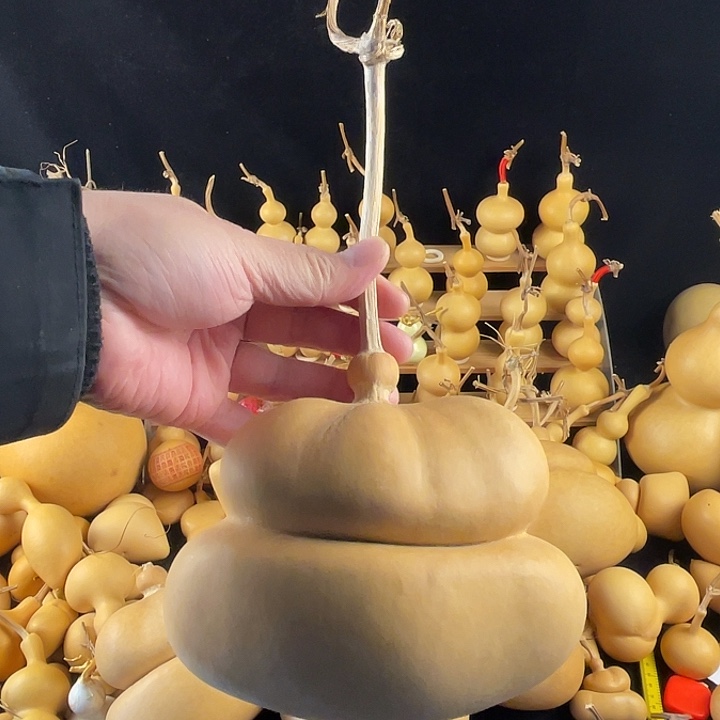 3号天然文玩钱袋葫芦