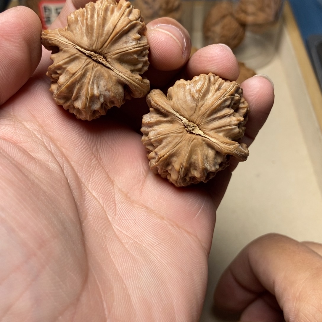 文玩核桃吊坠全品白狮子