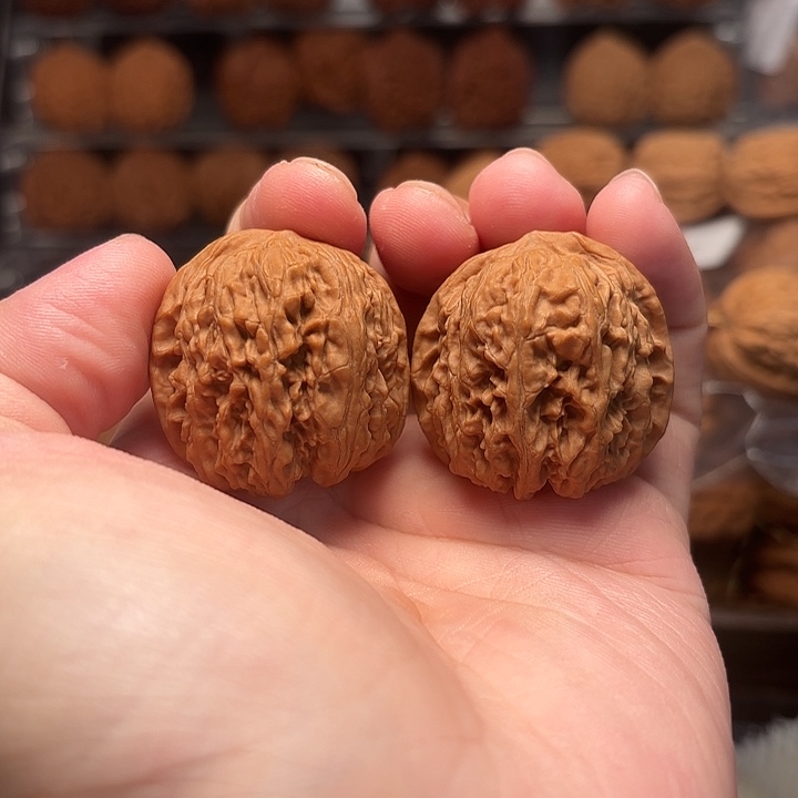 1文玩核桃龙王胆35-353