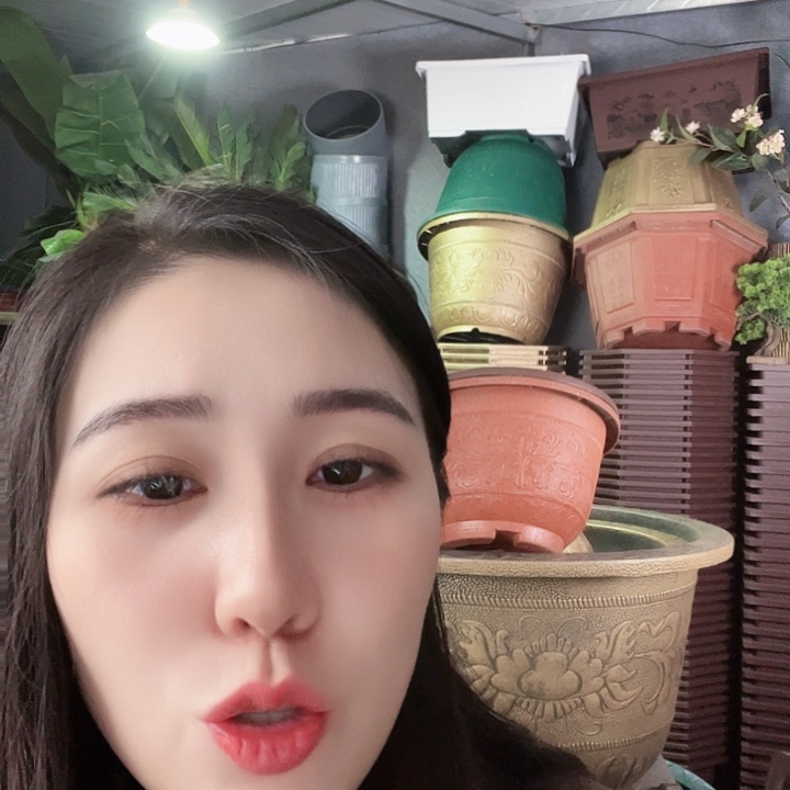 圆30口径花盆十二个