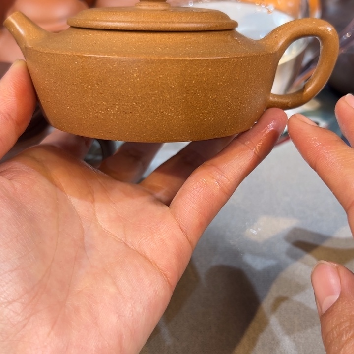 紫砂茶壶༺***༻五彩段泥180ccc 周盘