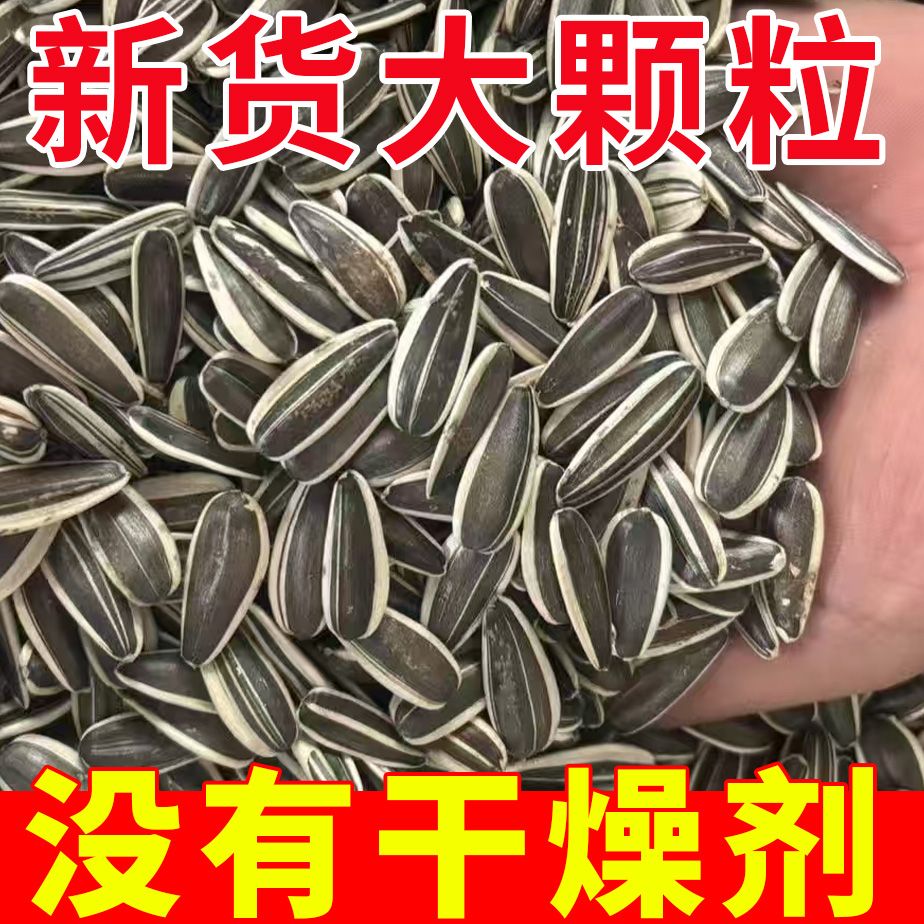 现炒原味瓜子无干燥剂葵花籽葵瓜子熟瓜子大颗粒大袋散装炒货零食