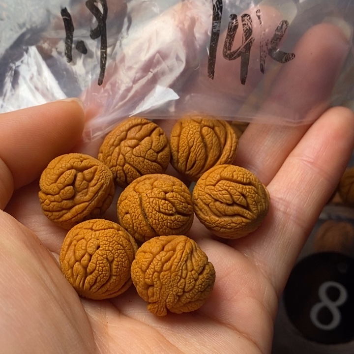 吊坠文玩核桃秦岭野生龙纹桃核19