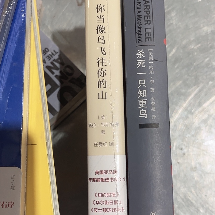 当鸟，知更鸟新书推荐