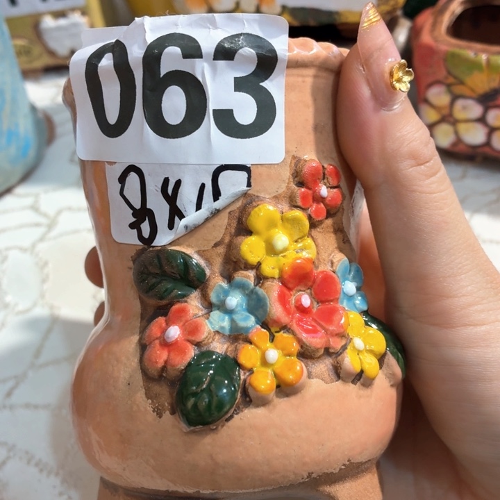 多肉花盆满15包邮