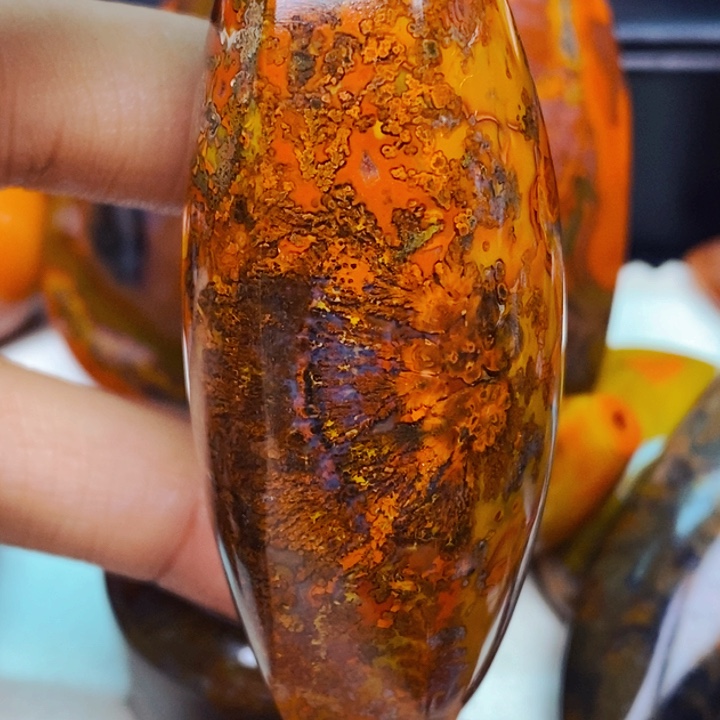 好***树玛瑙/玉髓未镶嵌玛瑙