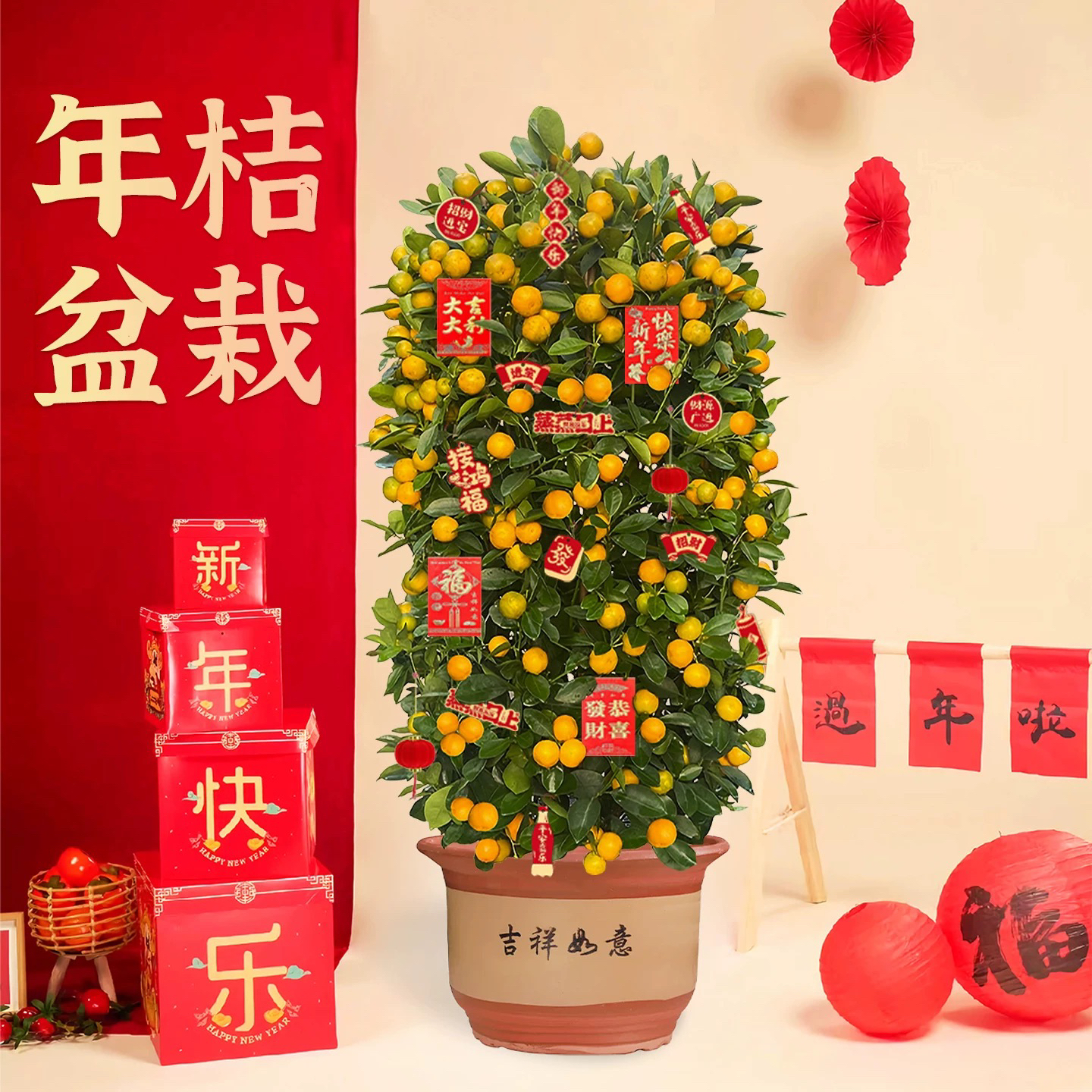 脆皮金桔四季金桔盆栽带果年宵花室内客厅观果植物开业送礼