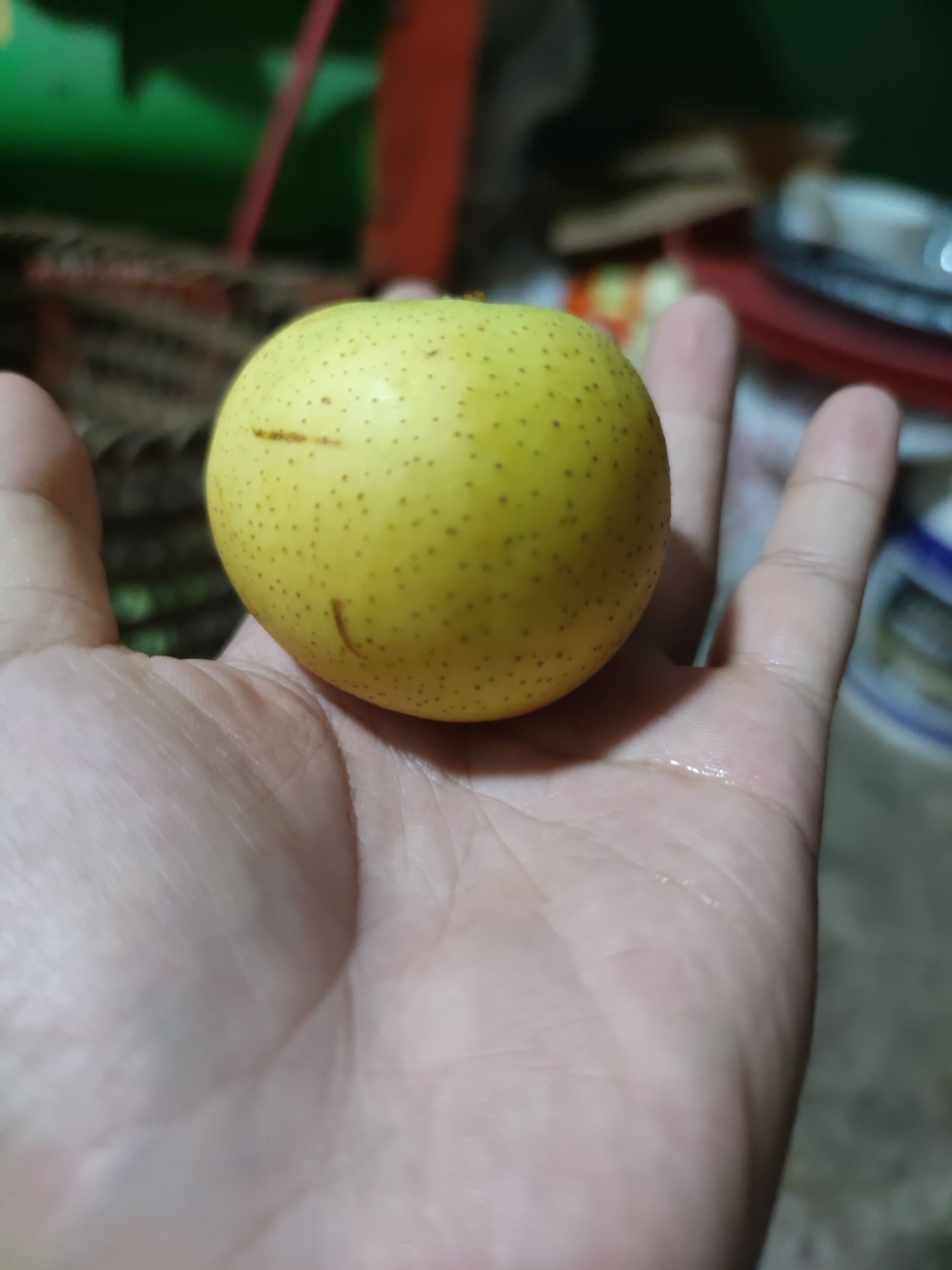 农家自种本地梨子