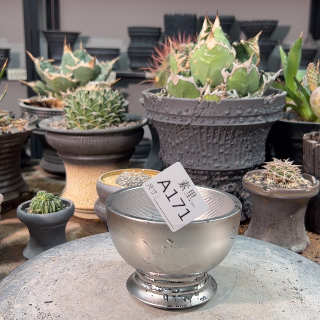 景德镇手工素里内面9.5高7.5