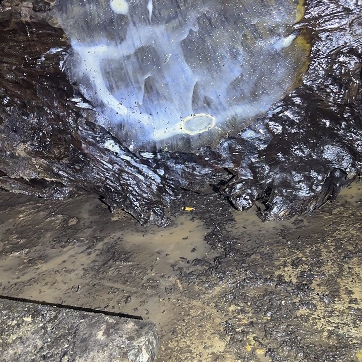 T***o乌木金丝楠摆件毛料