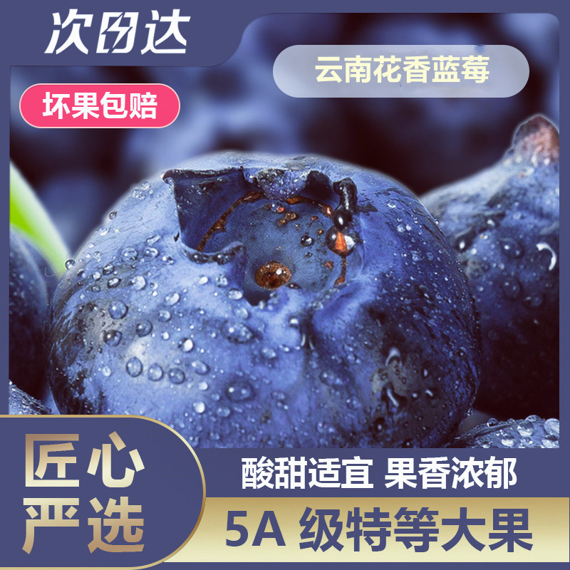 【明日达】ZXN花香蓝莓云南澄江抚仙湖小方盒蓝莓2/4盒装15mm-22mm新鲜采摘云南省