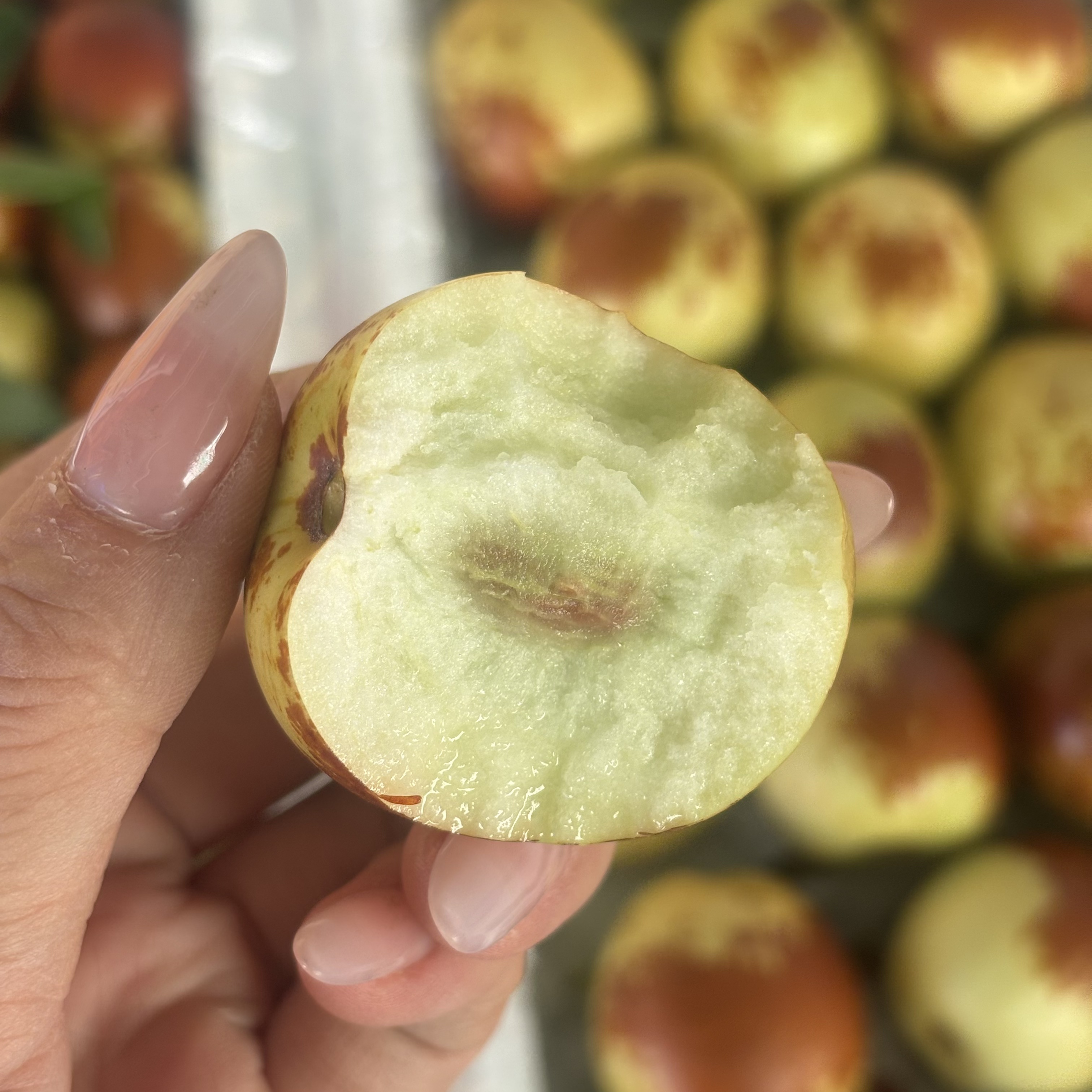 【即时零售】陕西大荔奶油冬枣  酥脆香甜 水分充足 3斤陕西省