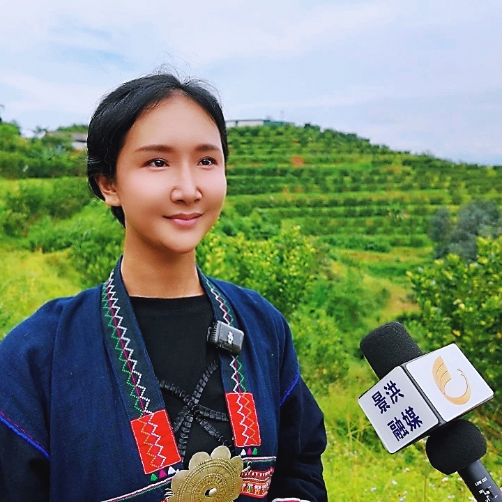 【1粒果王 】 西双版纳傣柚蜜柚产地直销香甜爆汁