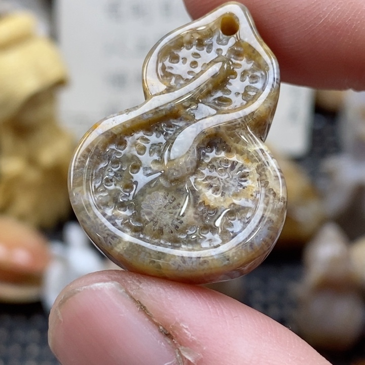 颈饰未镶嵌硅化珊瑚（珊瑚玉）小