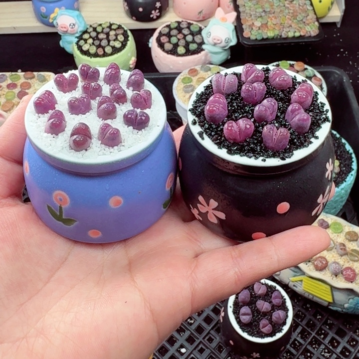 812零下地区记拍保温箱