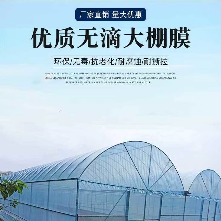 大棚膜二膜内膜小内棚小拱棚蓝色透明保温有流滴效果内棚专用