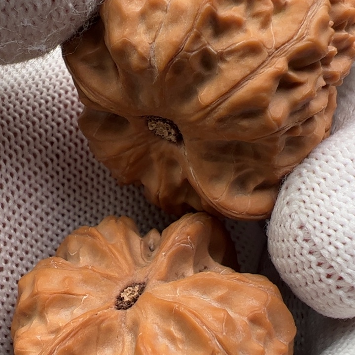 吊坠文玩核桃伏虎罗汉105