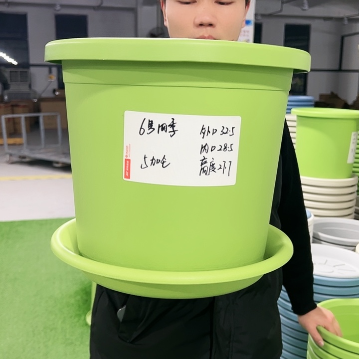 特价6号口32高27.7果绿色5只带托