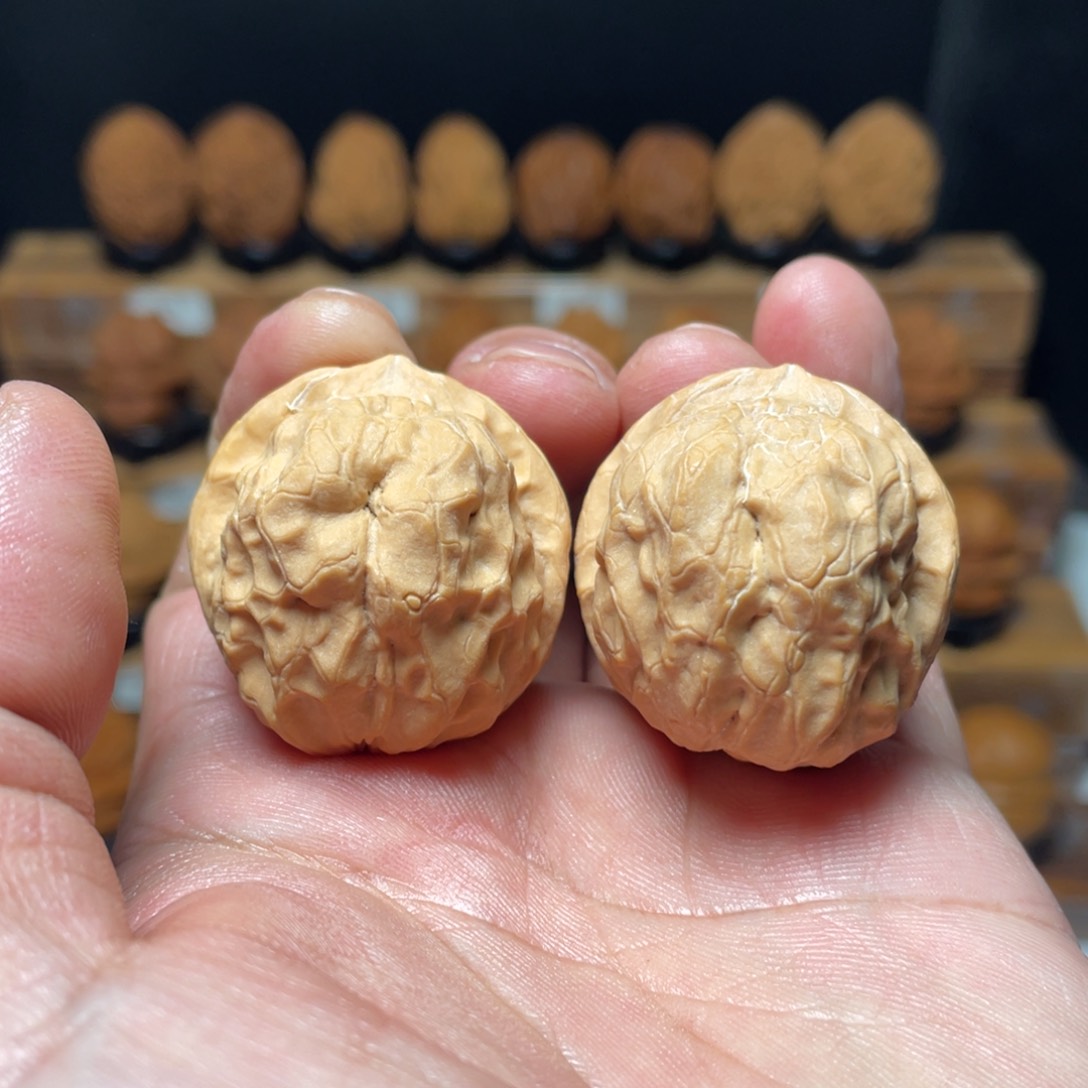 文玩核桃吊坠甲壳虫