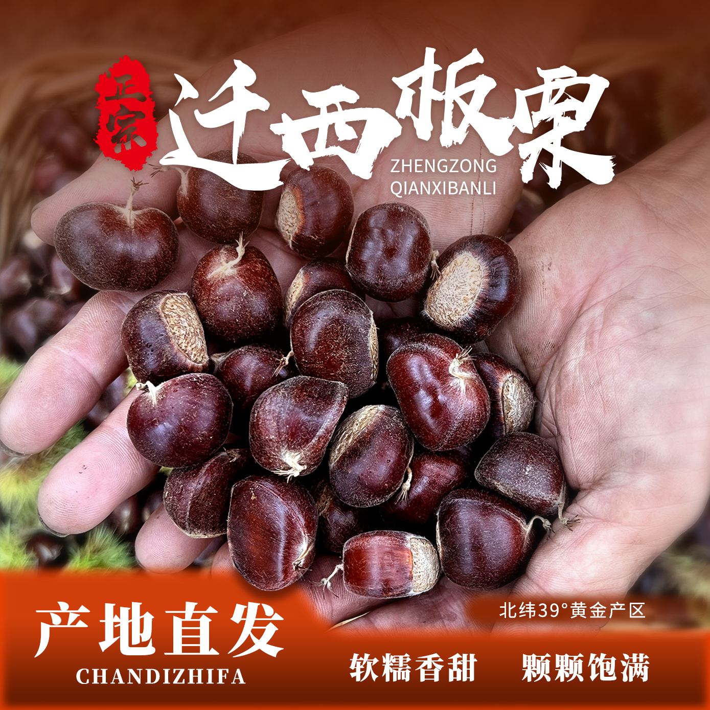 正宗迁西板栗 中果偏小 颗颗饱满 （介意勿拍）