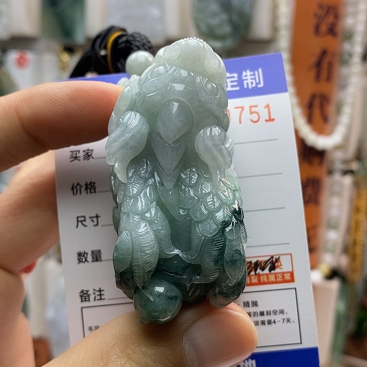 翡翠颈饰未镶嵌每天