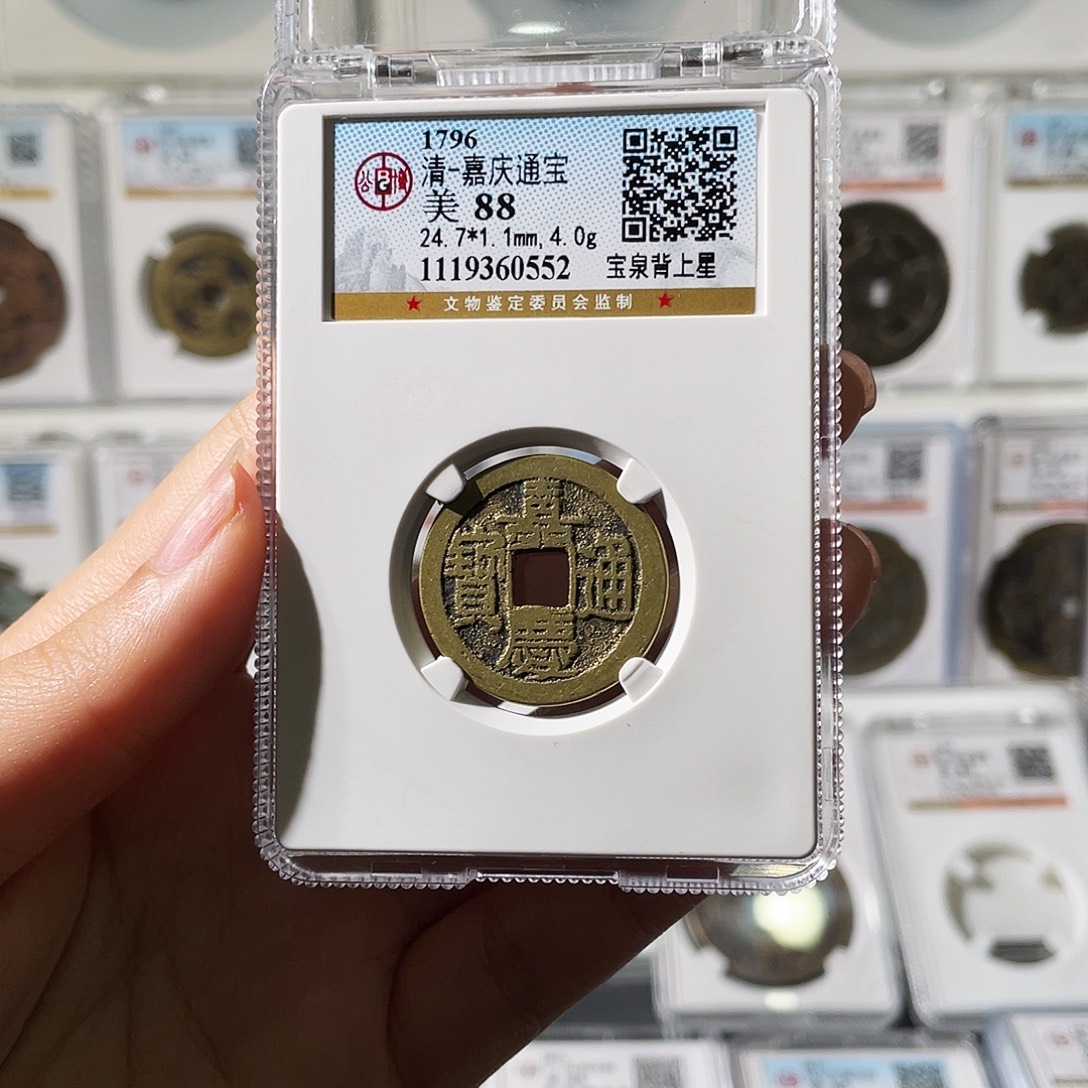 铜小莲精选，福利嘉庆背上星