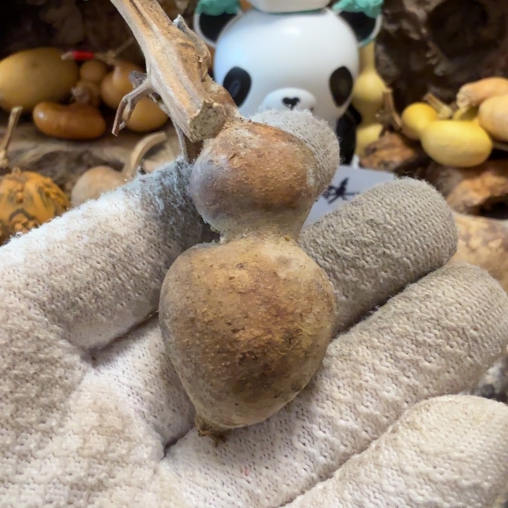 冬***雪66766777777777777