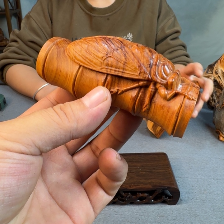 柏木（崖柏）太行崖柏