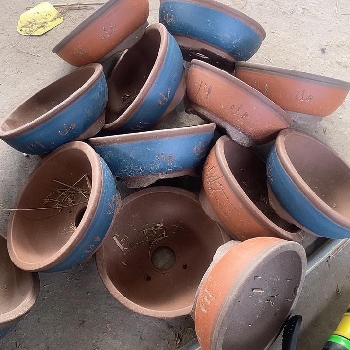 紫砂花盆100-12。15-6