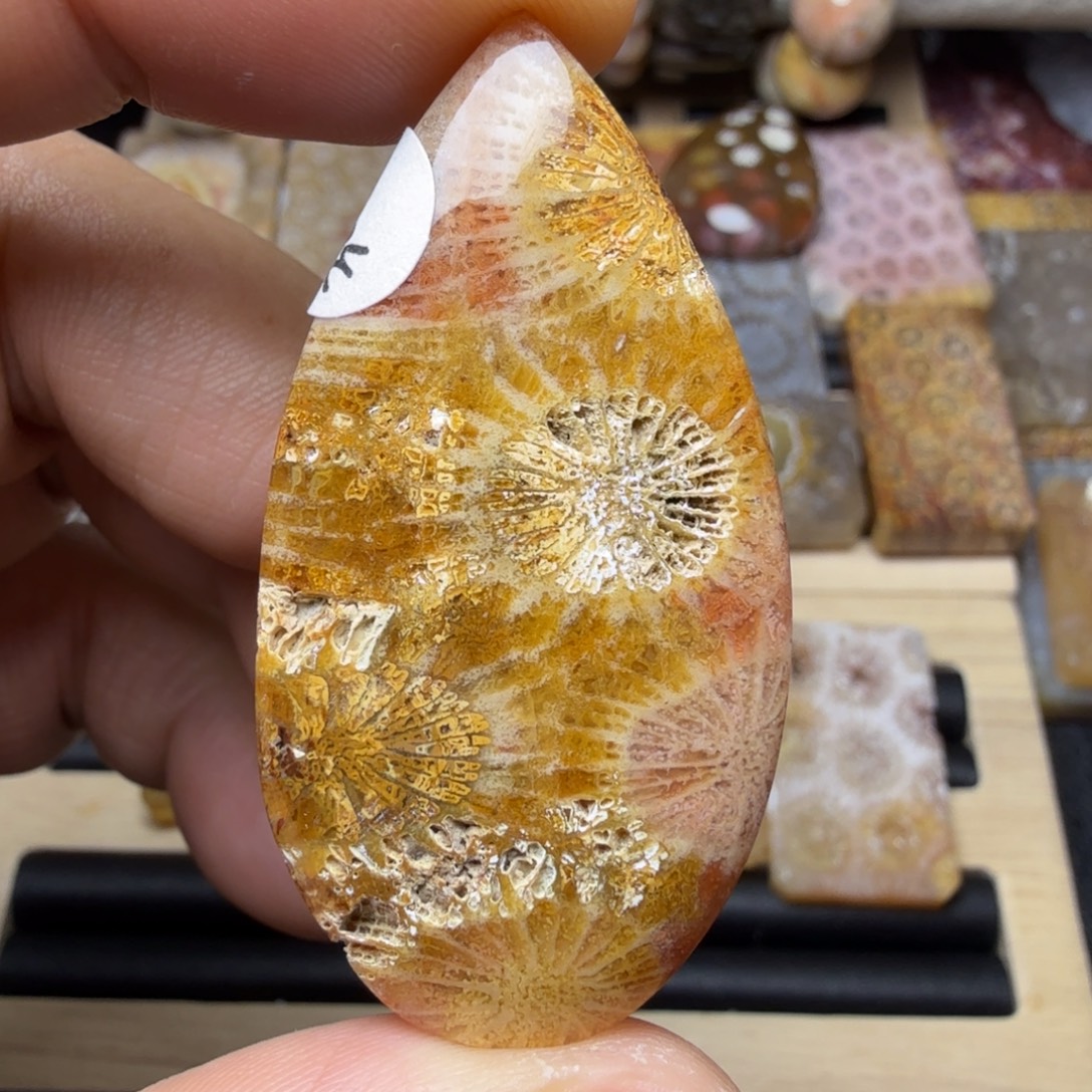 硅化玉未镶嵌纯天然色有机玉石保真色