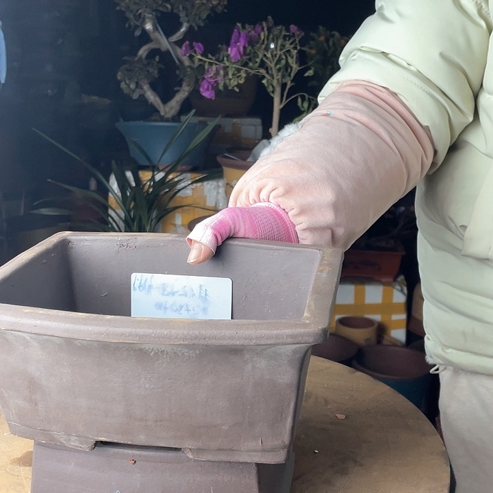 紫砂宜兴紫砂A款