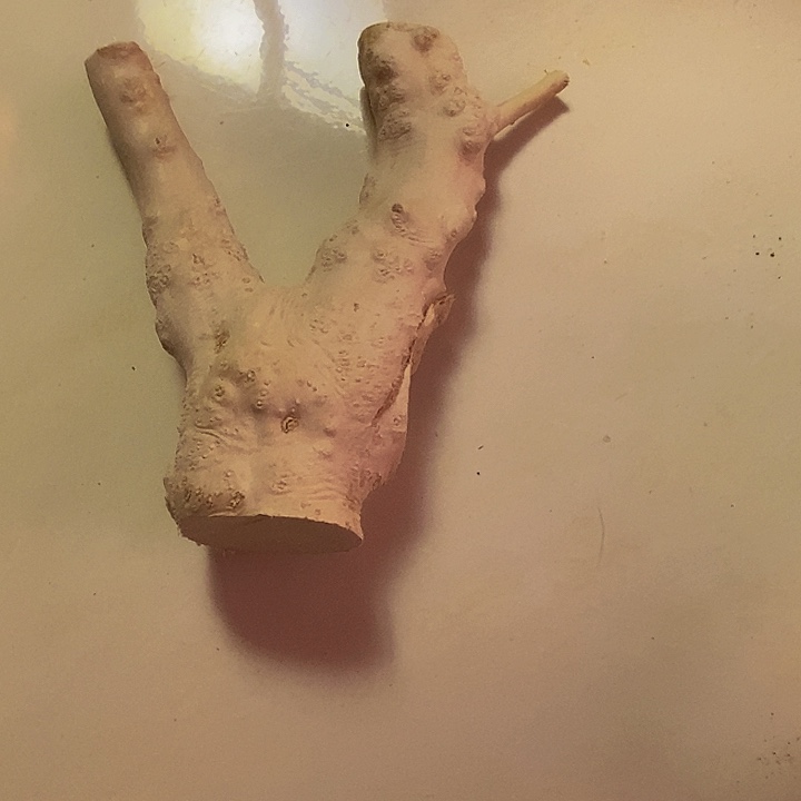 一***安黄杨木等多种木材