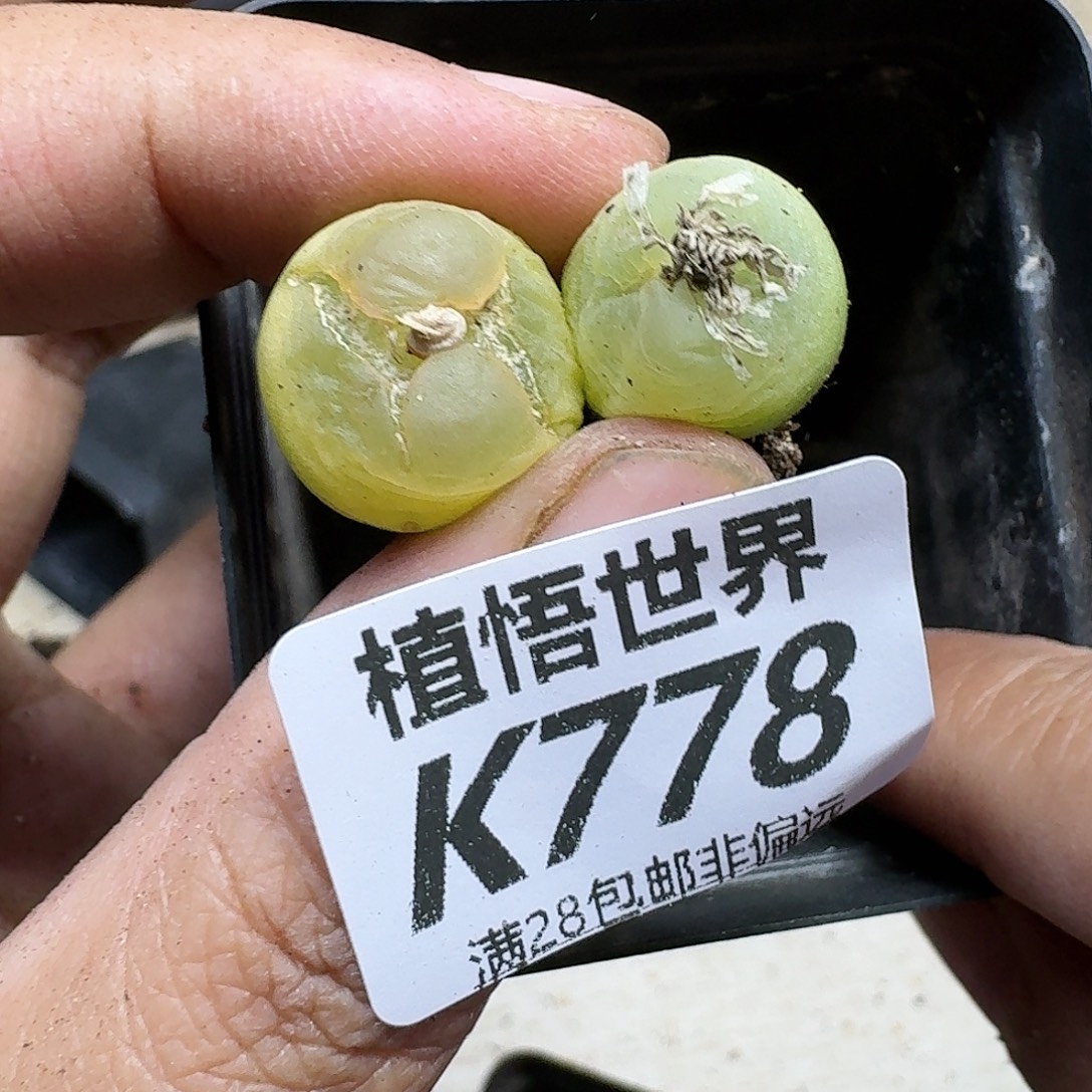 的W的人生发的润泽fvh