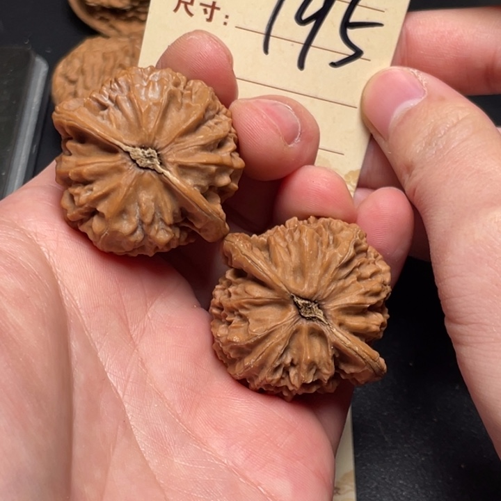 文玩核桃把件宫灯40尺全品白茬195