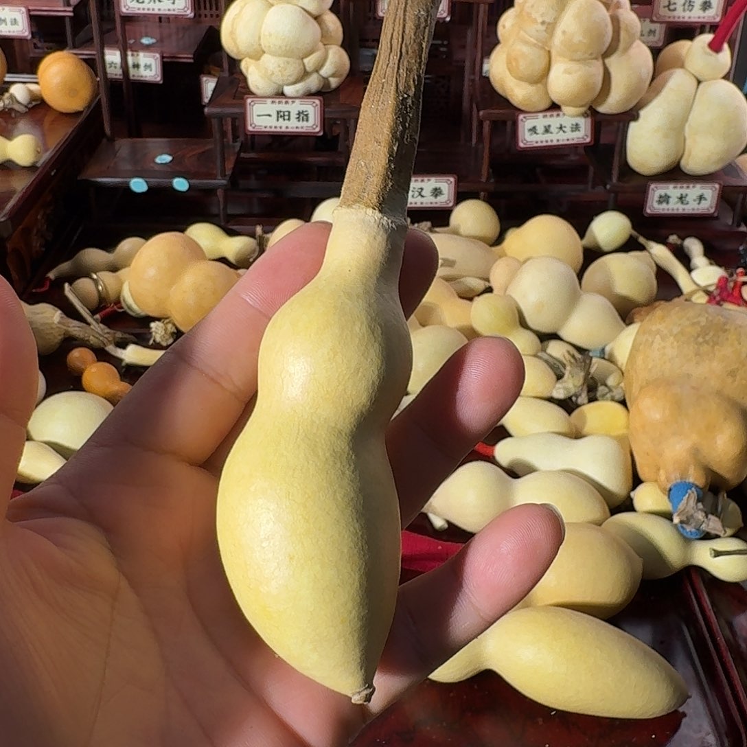 初***）蚂蚁粗嘴厚皮福利