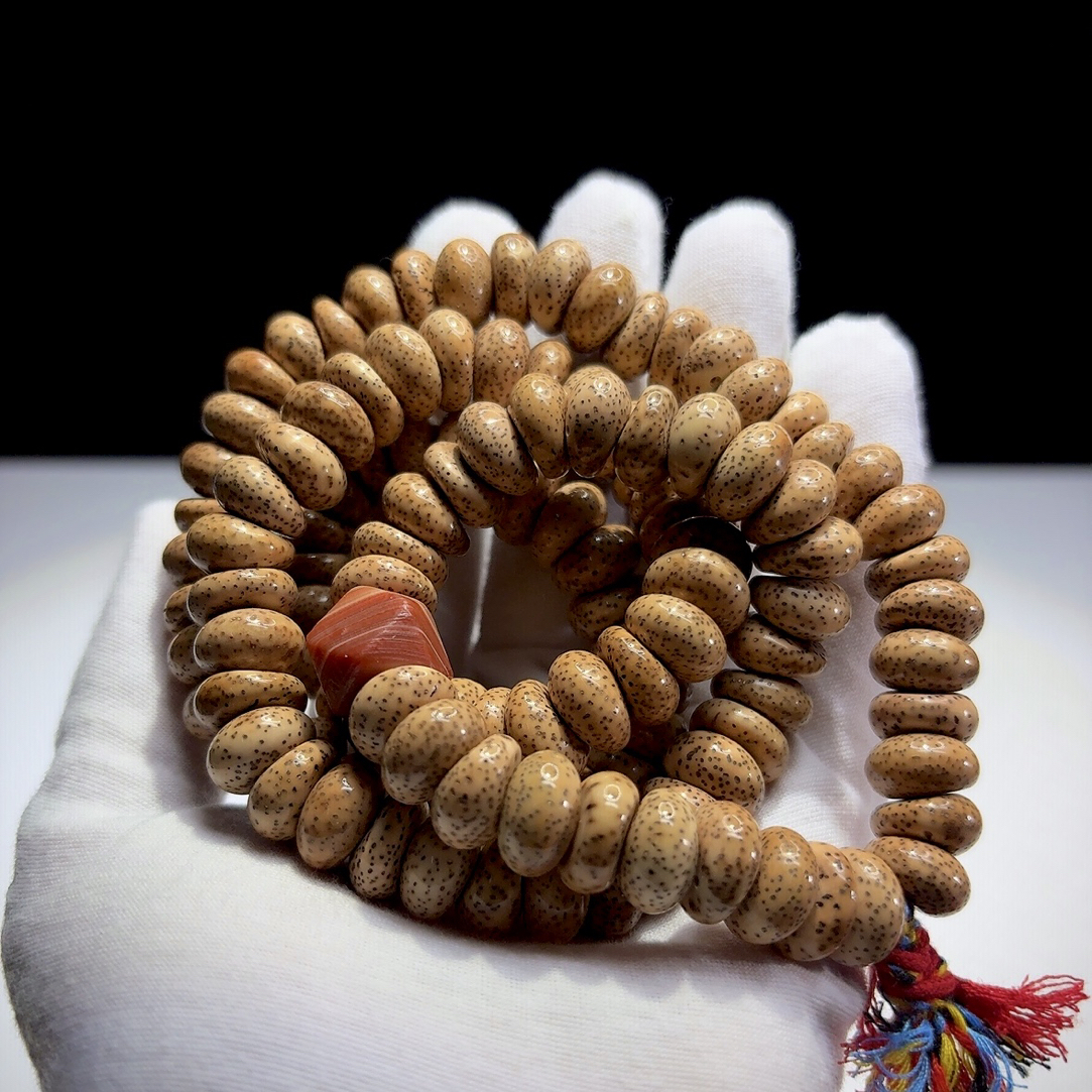 一物一图【脱脂陈籽】13马蹄，海南毛感料干磨脱脂陈籽，针尖星。