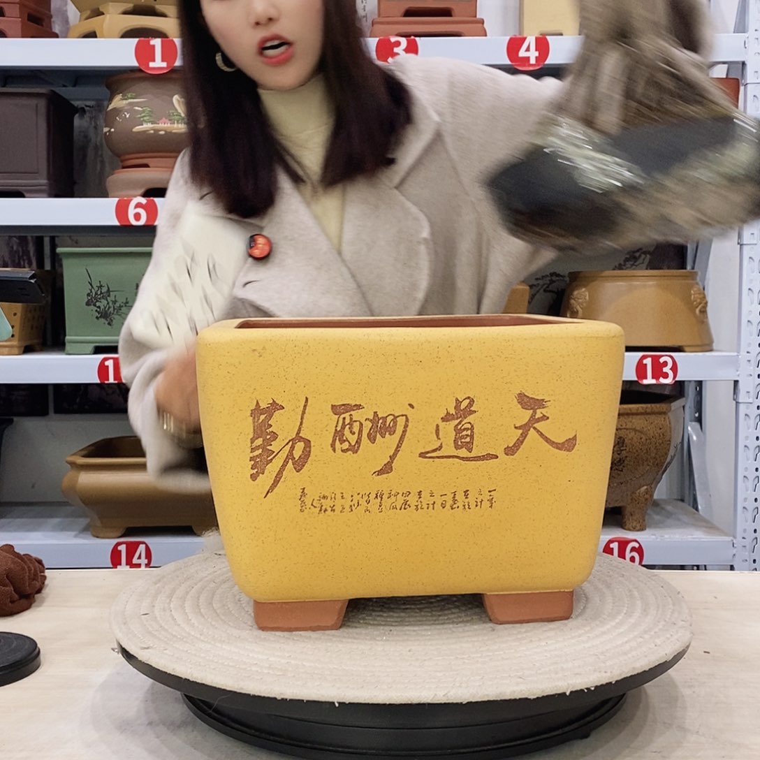 紫砂花盆紫砂花盆