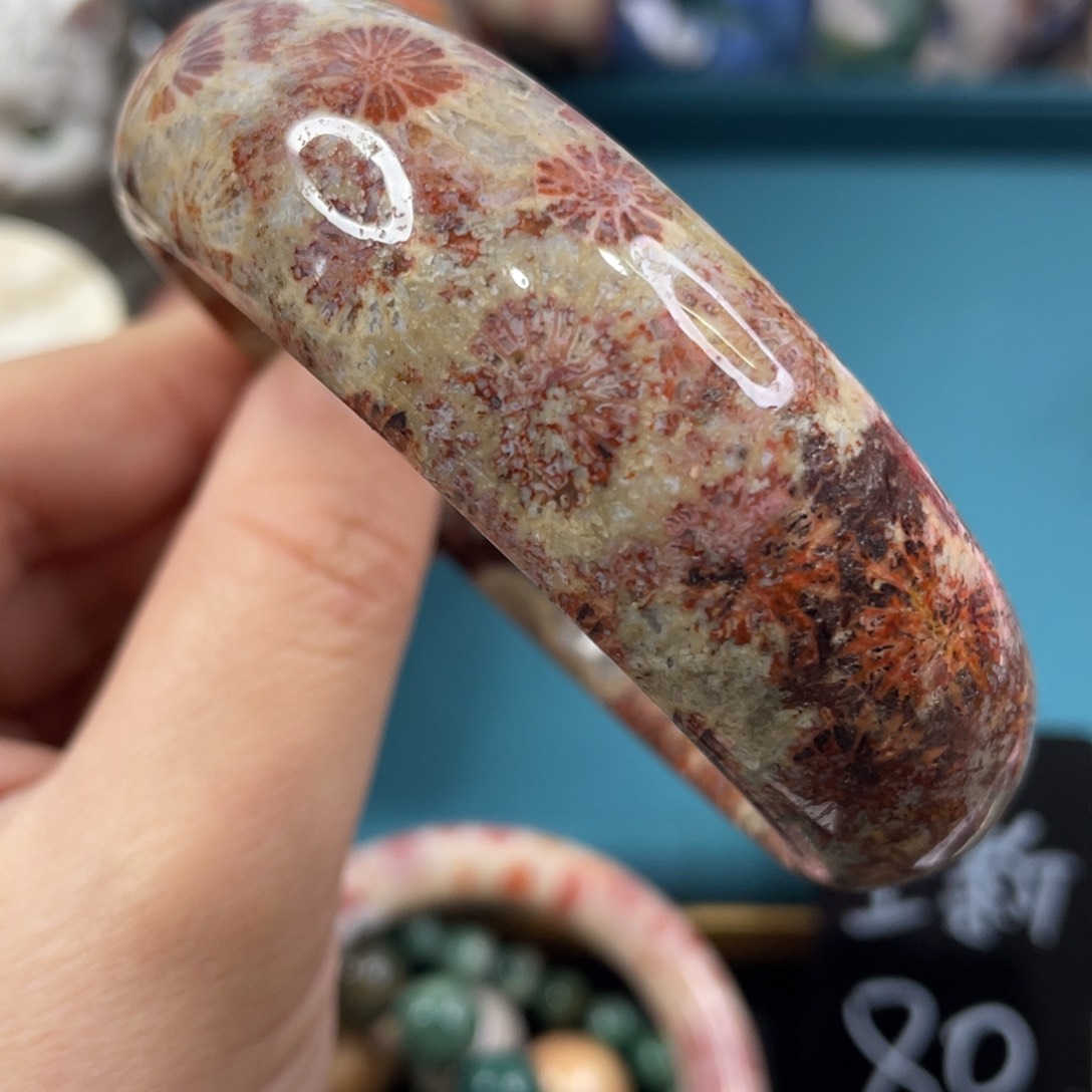 未镶嵌手镯硅化玉