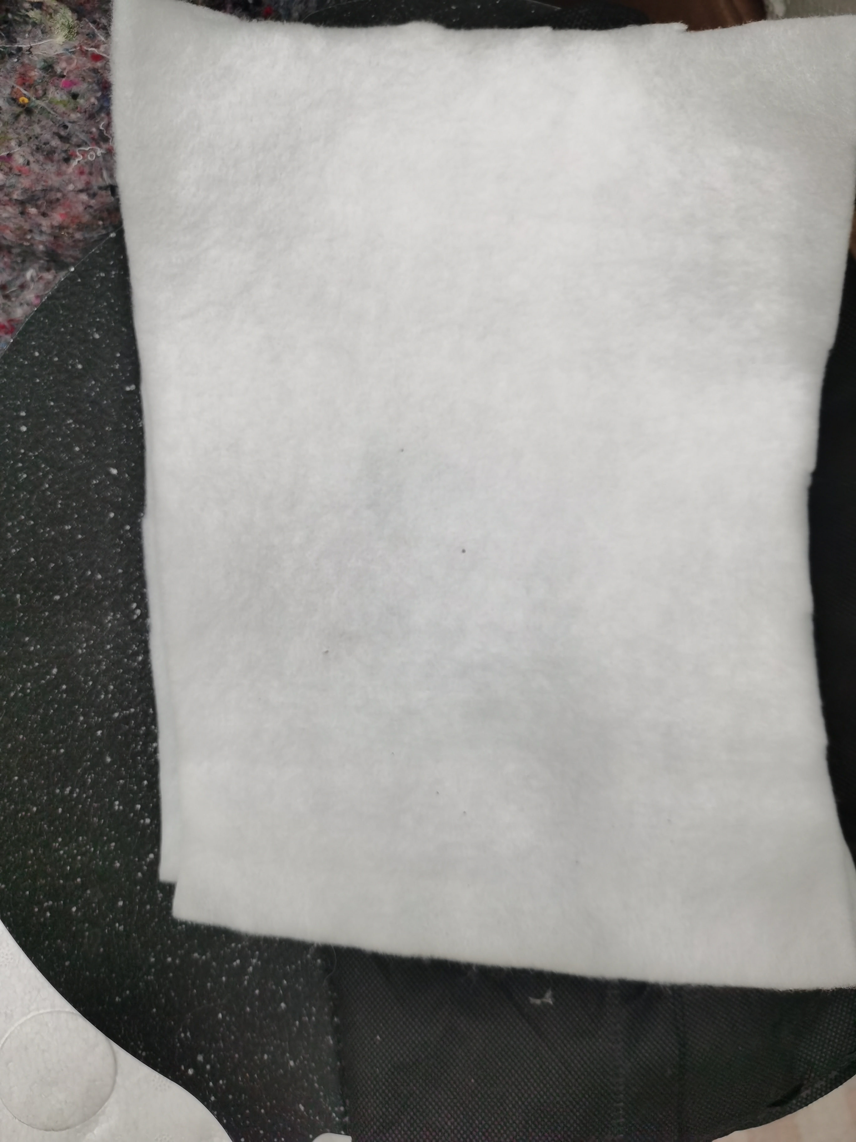 邮费补差价鱼苗成鱼