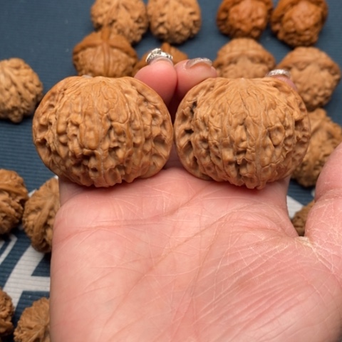 橄榄核手串/手链鑫磨盘