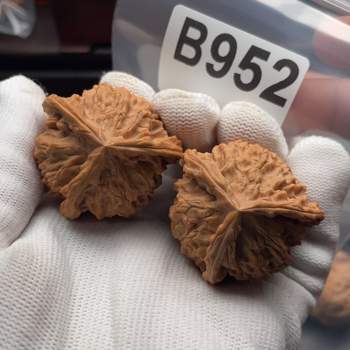 【闪购商品】文玩核桃吊坠B952三棱37