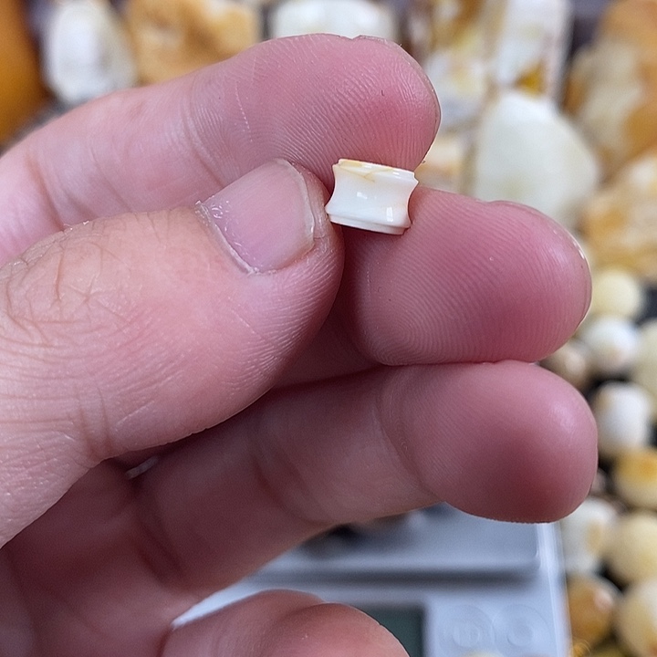 琥珀未镶嵌裸石我