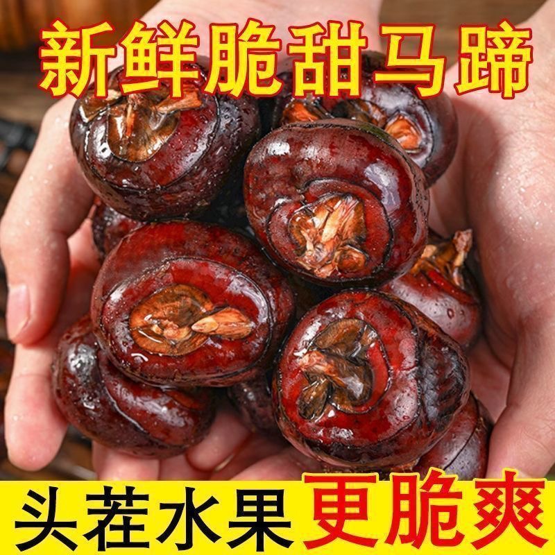 正宗广西荔浦水果马蹄荸荠现挖多汁当季水果蔬菜整箱脆包邮