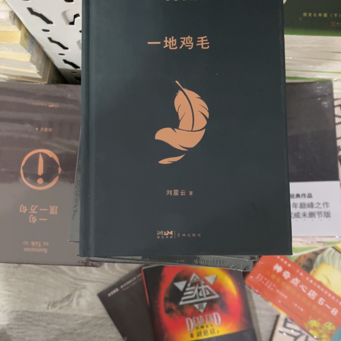 一地鸡毛精装一个^_^