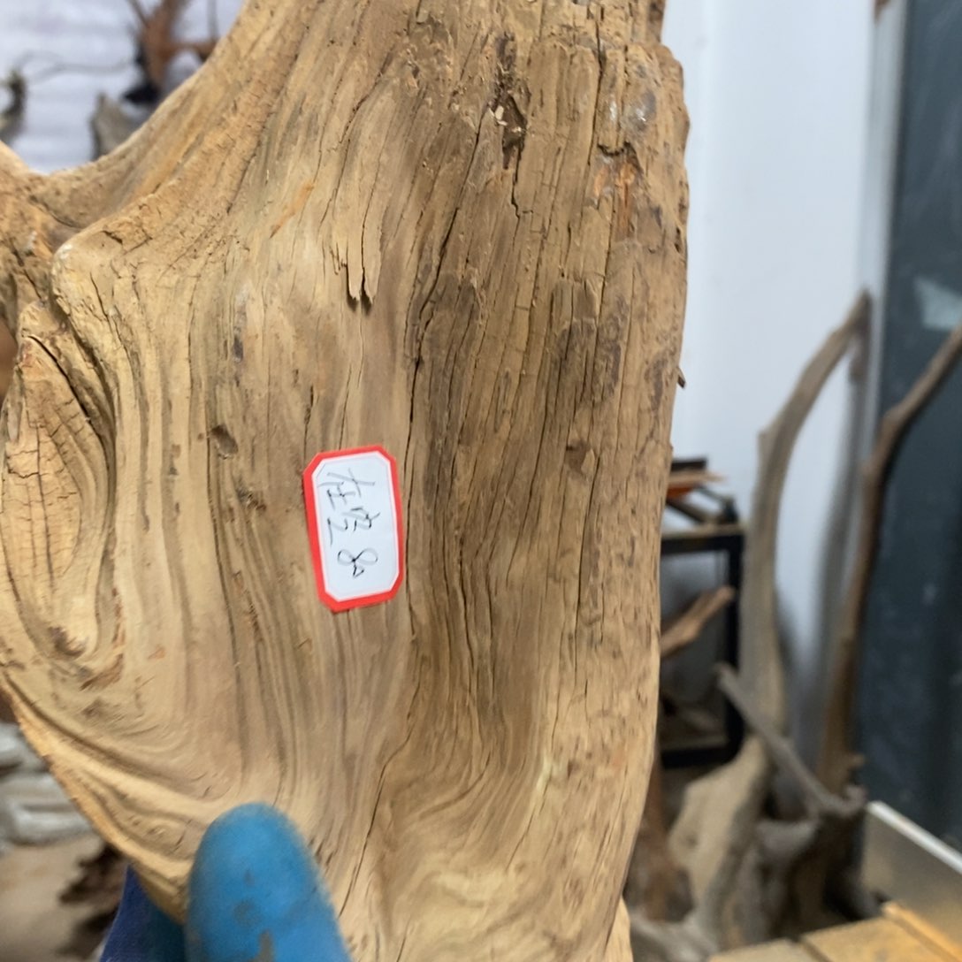 柏木在**中我们都是好孩子