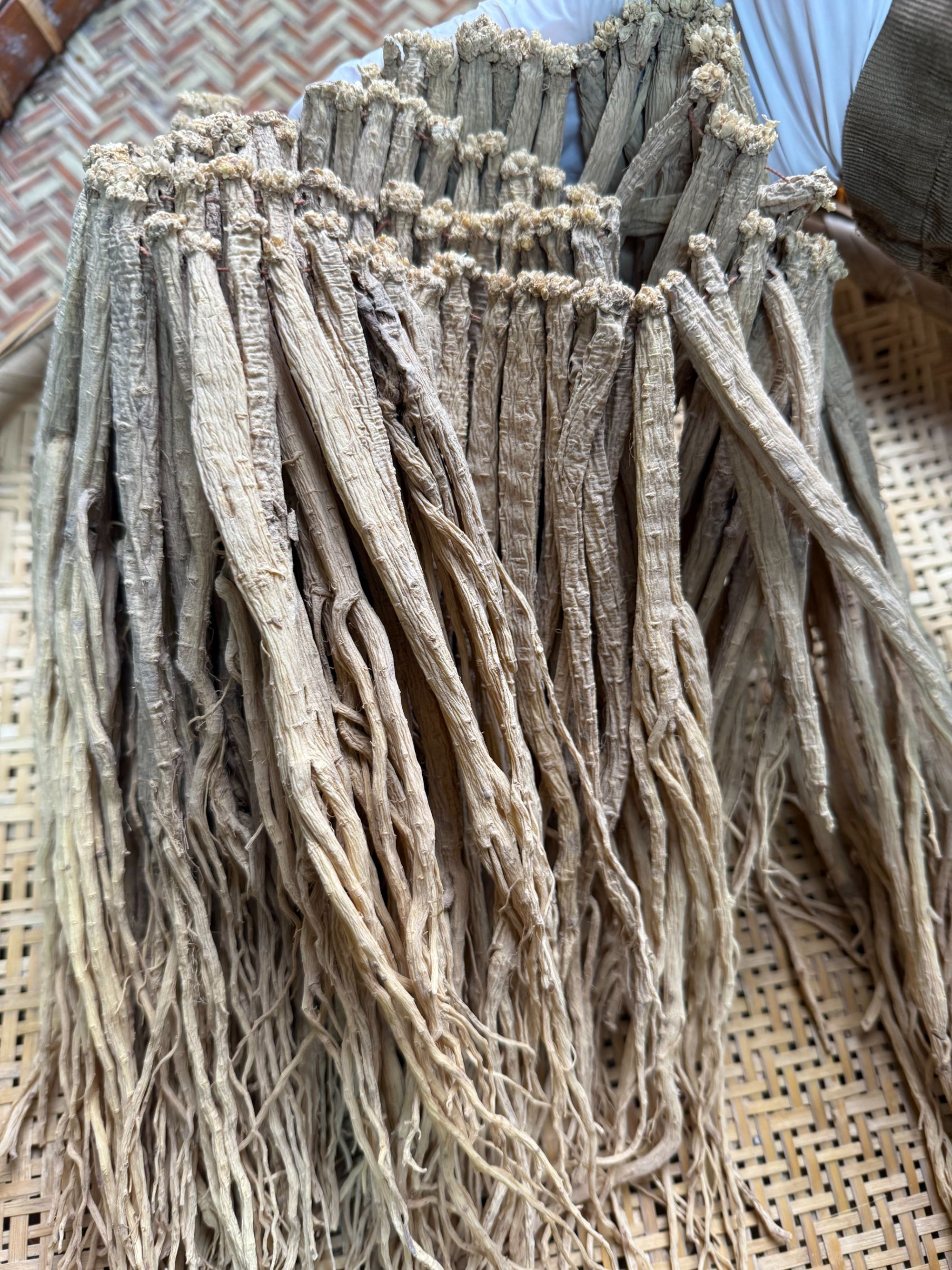 党参  浓郁滋养农产品