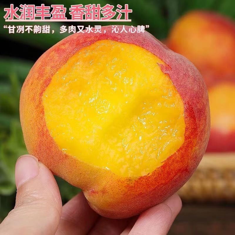 【次日达】应季现摘重庆老品种彩虹黄桃新鲜水果桃子2斤3斤5斤包邮当季新鲜水果桃子桃子同城送重庆市