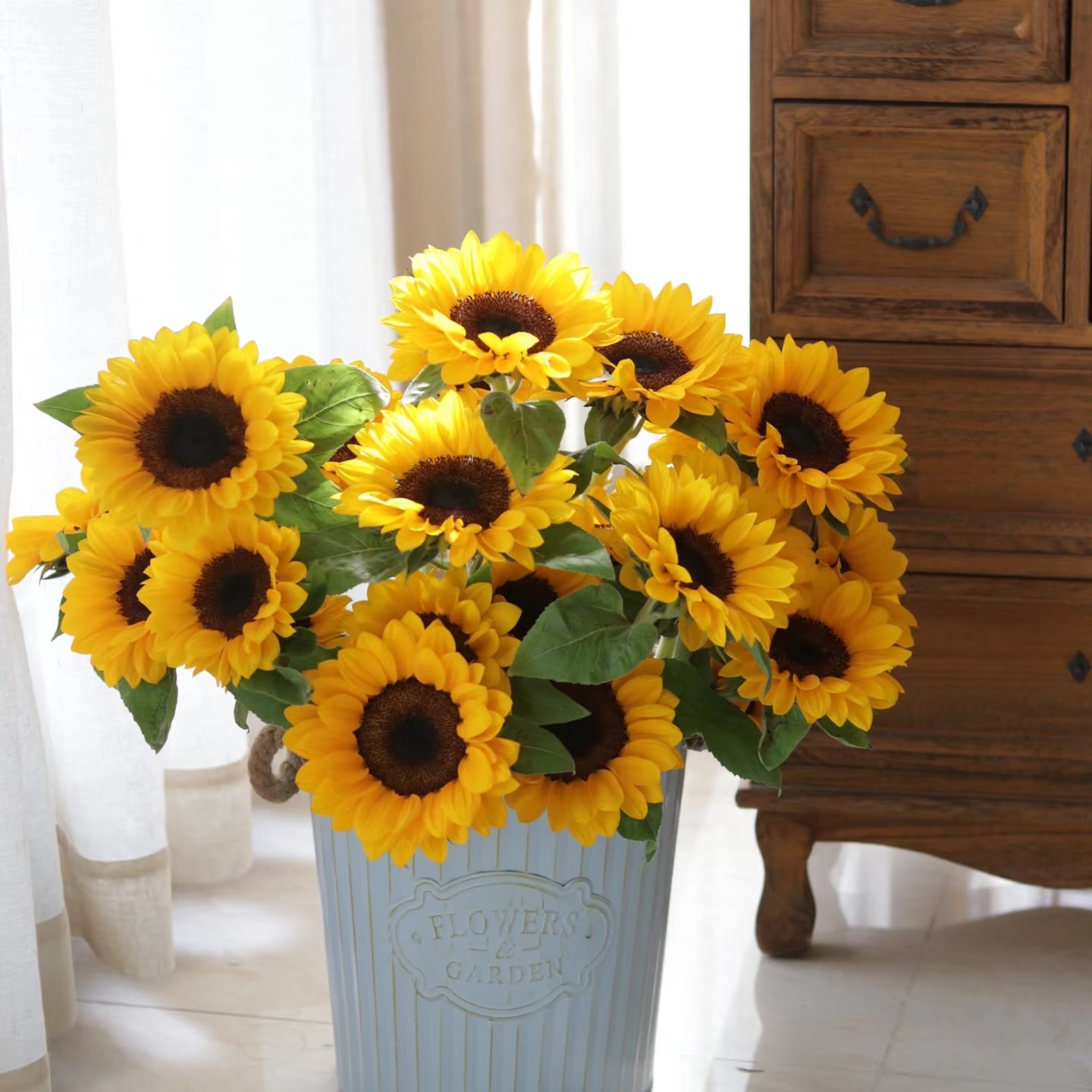 一举夺魁 （向日葵）  居家办公优选（东北基地发货）