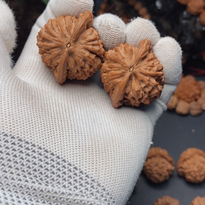 把件文玩核桃华**巅秦岭野生鸡心